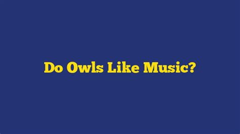 Do Owls Like Music? An Examination of Their Sound Preferences