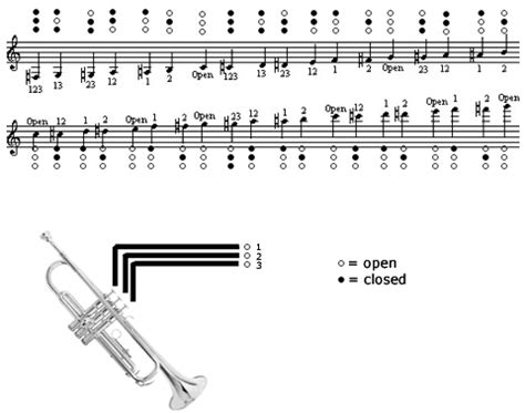 How to Read Trumpet Music: A Symphony of Symbols and Sounds